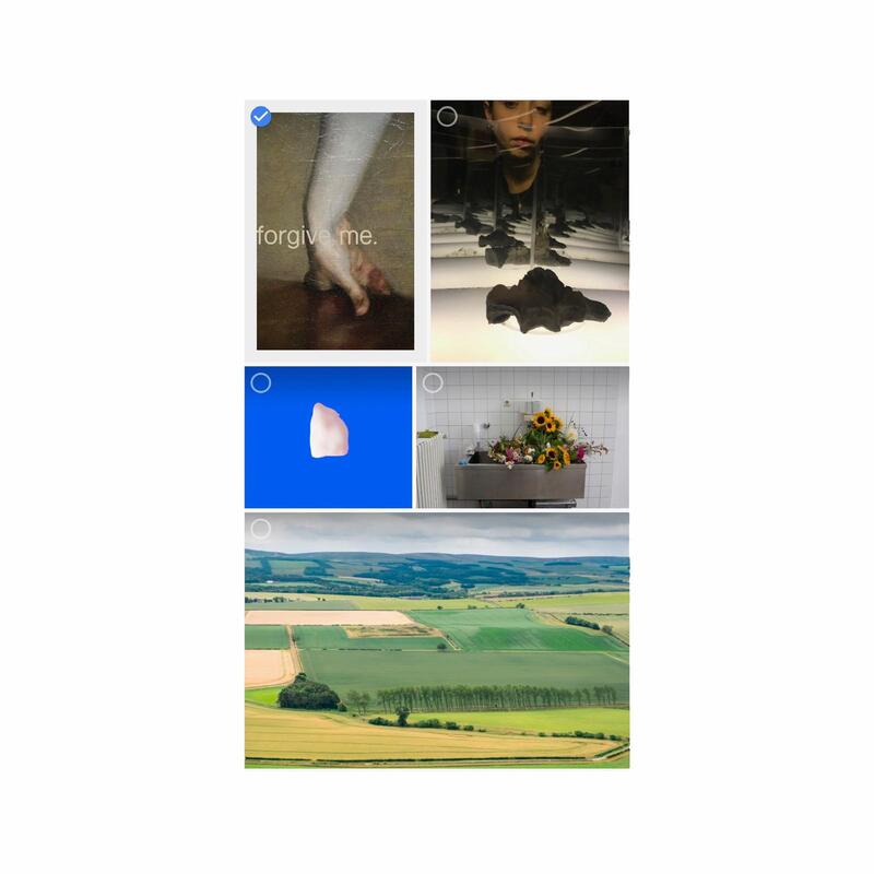 Collage of 5 images which depict a hand, unknown objects, flowers in a sink, and agricultural landscape. 